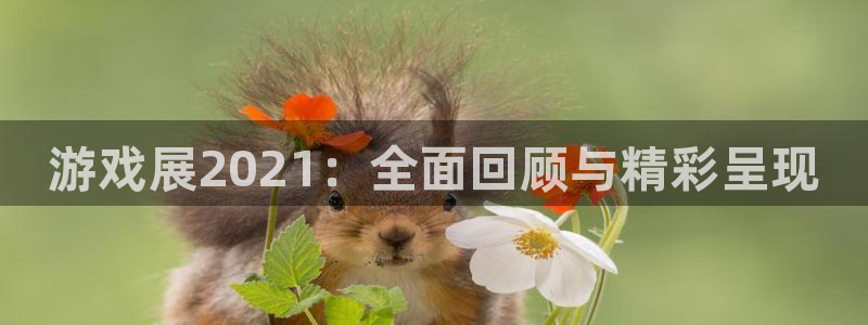 极悦娱乐app下载地址：游戏展2021：全面回顾与精彩呈现