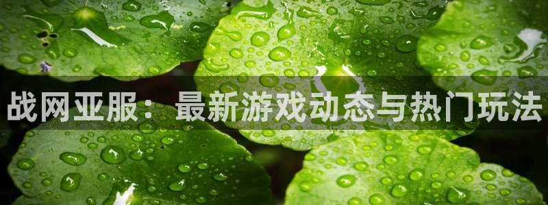 极悦娱乐升级5994月：战网亚服：最新游戏动态与热门玩法
