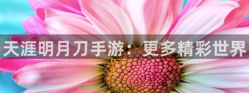 极悦娱乐在线登录：天涯明月刀手游：更多精彩世界