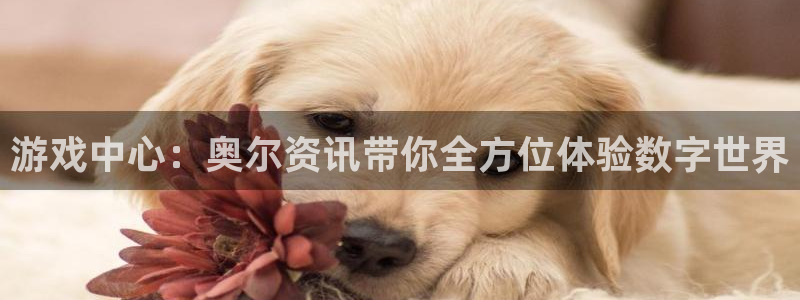 极悦娱乐4开户：游戏中心：奥尔资讯带你全方位体验数字世界