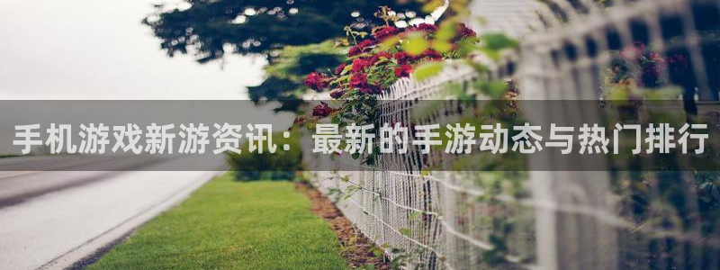 极悦娱乐平台负责人：手机游戏新游资讯：最新的手游动态与热门排