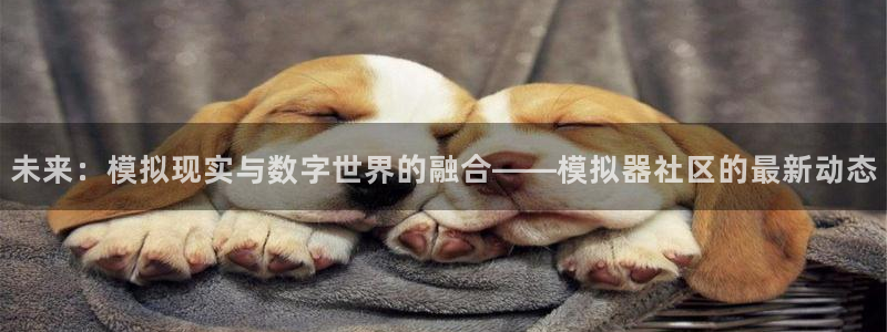 极悦娱乐网址注册：未来：模拟现实与数字世界的融合——模拟器社