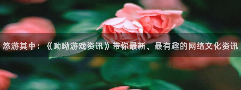 极悦娱乐注册账号：悠游其中：《呦呦游戏资讯》带你最新、最有趣