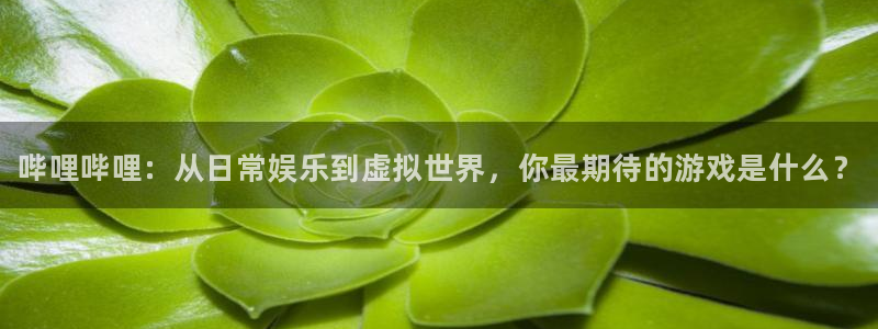 手机极悦娱乐下载安装：哔哩哔哩：从日常娱乐到虚拟世界，你最期
