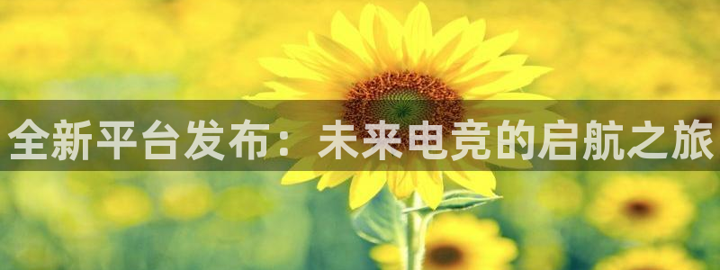 极悦娱乐平台负责人：全新平台发布：未来电竞的启航之旅