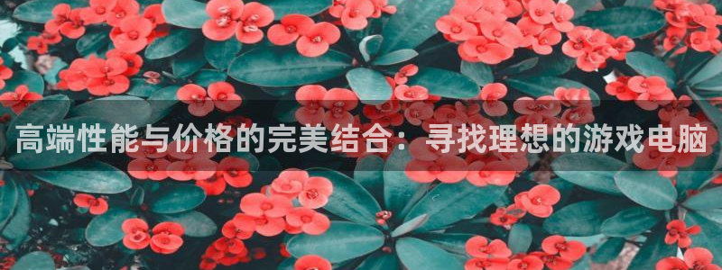 极悦娱乐官方登录网址：高端性能与价格的完美结合：寻找理想的游