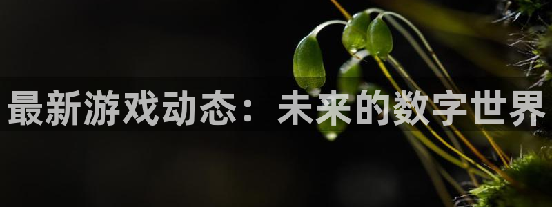 极悦娱乐2首页登录：最新游戏动态：未来的数字世界