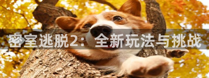 极悦娱乐的意思：密室逃脱2：全新玩法与挑战