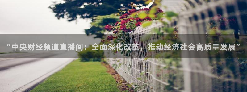 今天五星体育节目单：“中央财经频道直播间：全面深化改革，推动经济社会高质量发展”
