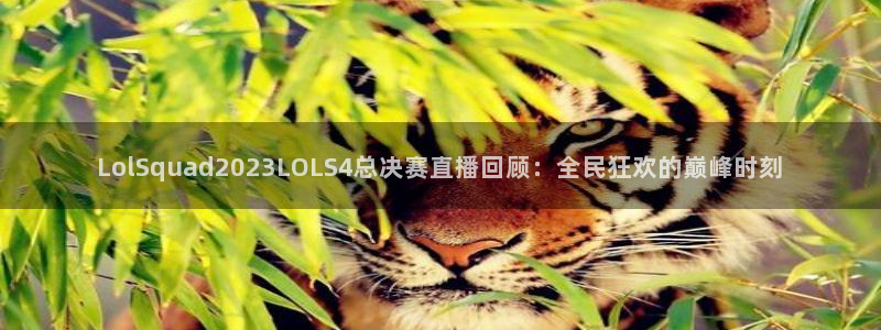上海五星体育直播频道：LolSquad2023LOLS4总决赛直播回顾：全民狂欢的巅峰时刻