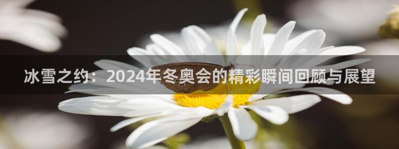 五星体育直播在线观看高清直播：冰雪之约：2024年冬奥会的精彩瞬间回顾与展望