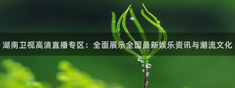 上海五星体育nba直播：湖南卫视高清直播专区：全面展示全国最新娱乐资讯与潮流文化