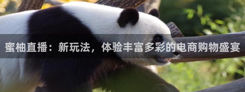 五星体育nba：蜜柚直播：新玩法，体验丰富多彩的电商购物盛宴