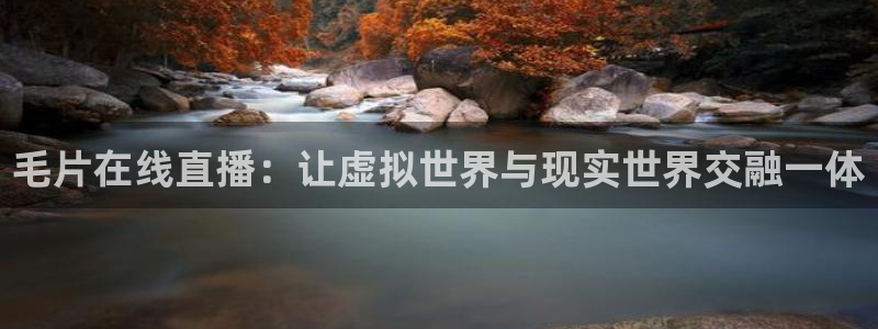 五星体育直播在线免费观看：毛片在线直播：让虚拟世界与现实世界交融一体