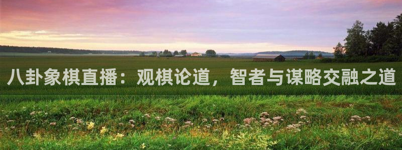 五星体育直播免费观看：八卦象棋直播：观棋论道，智者与谋略交融之道