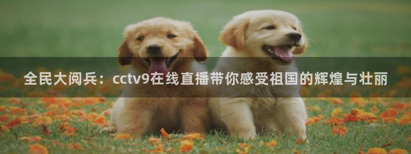 五星体育直播在线观看高清直播：全民大阅兵：cctv9在线直播带你感受祖国的辉煌与壮丽