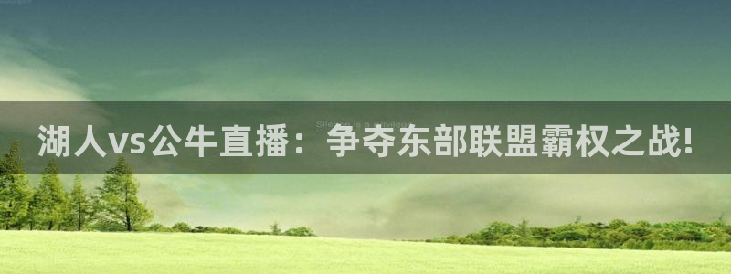 上海五星体育直播app下载