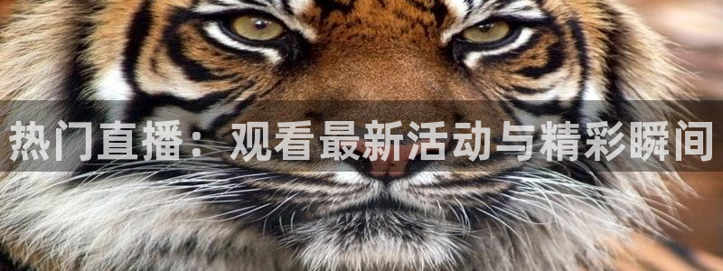 五星体育耍大牌：热门直播：观看最新活动与精彩瞬间