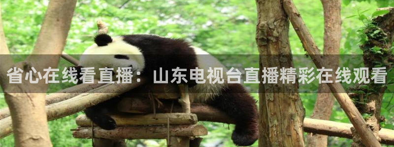 五星体育弈棋耍：省心在线看直播：山东电视台直播精彩在线观看