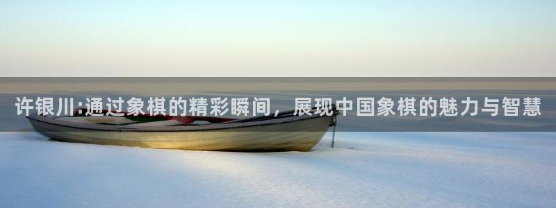 五星体育欧冠直播：许银川:通过象棋的精彩瞬间，展现中国象棋的魅力与智慧