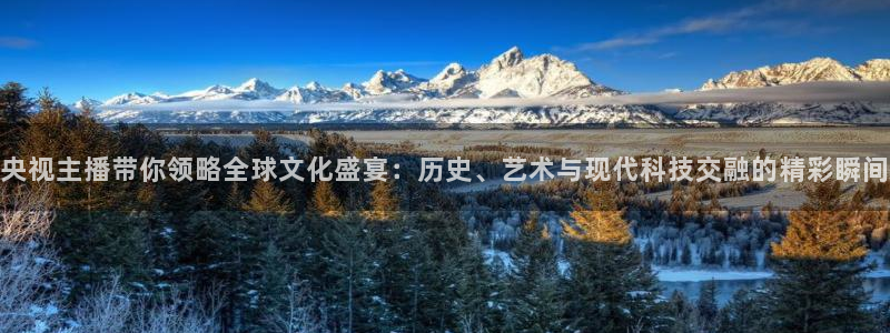 五星体育赛事直播：央视主播带你领略全球文化盛宴：历史、艺术与现代科技交融的精彩瞬间